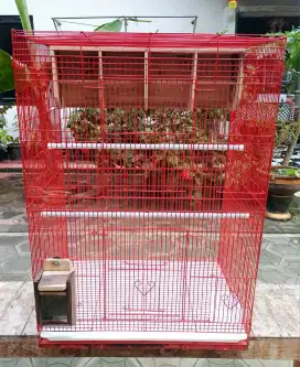 Sangkar Lovebird Limited Edition SIAP HUNI