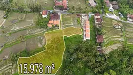 Beautiful Vacant Land with amazing View Los River Kenderan Ubud Bali