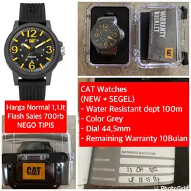 CAT WATCHES 700rb