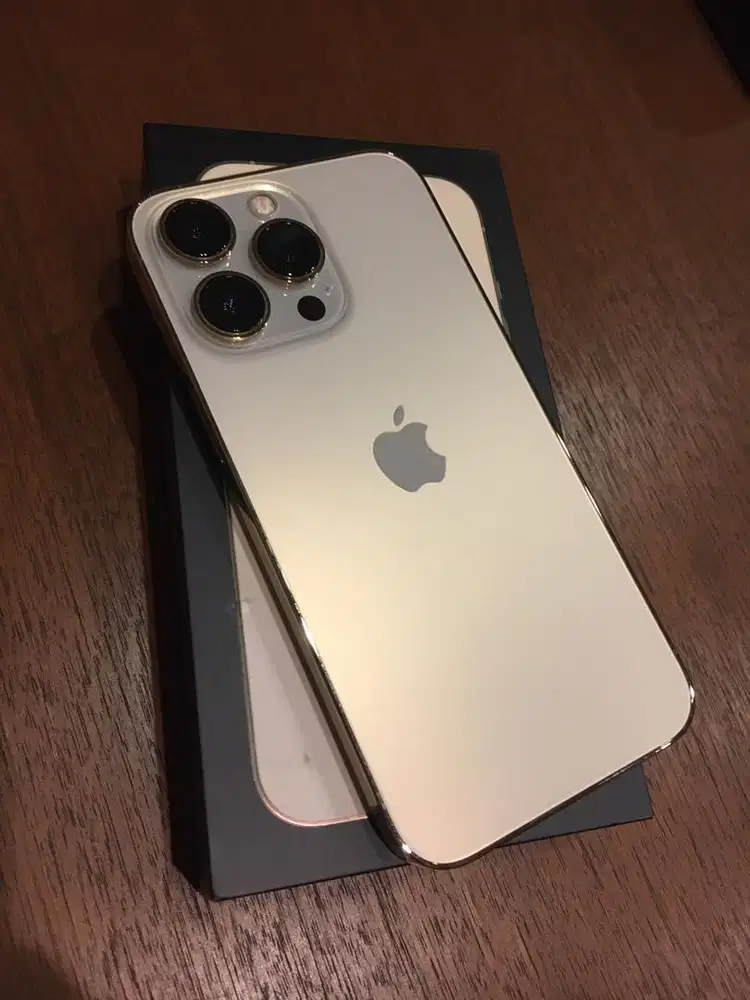 iphone 13 pro 256 gold resmi Dual nano