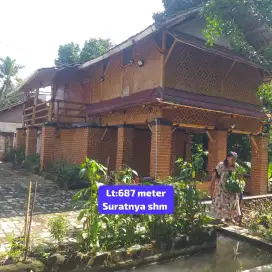 Jual rumah Filla bambu dan kolam ikan Lewiliang bgr barat