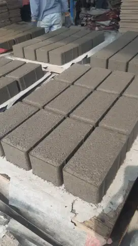 PAVING BLOCK BERKUALITAS DAN JASA PEMASANGAN