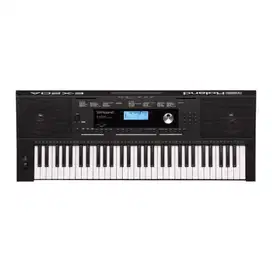 Keyboard Roland E-X20A