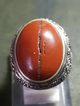 Ati Ayam Kendit
- Ring Alpaka 7