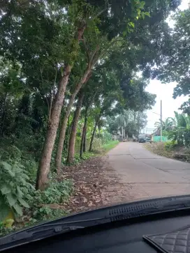 JUAL CEPAT TANAH STRATEGIS CUMA 500 MTR dr EXIT TOL KALIJATI SUBANG