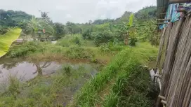 Dijual Tanah Sawah di Semplak, Bogor Barat Kota Bogor