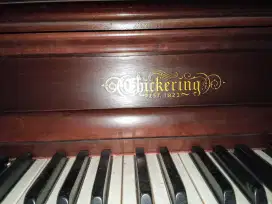 Piano clasiic chickering est 1823