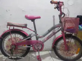 Jual aja sepeda family