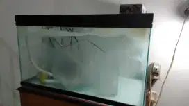 Aquarium 5 milimeter tebal