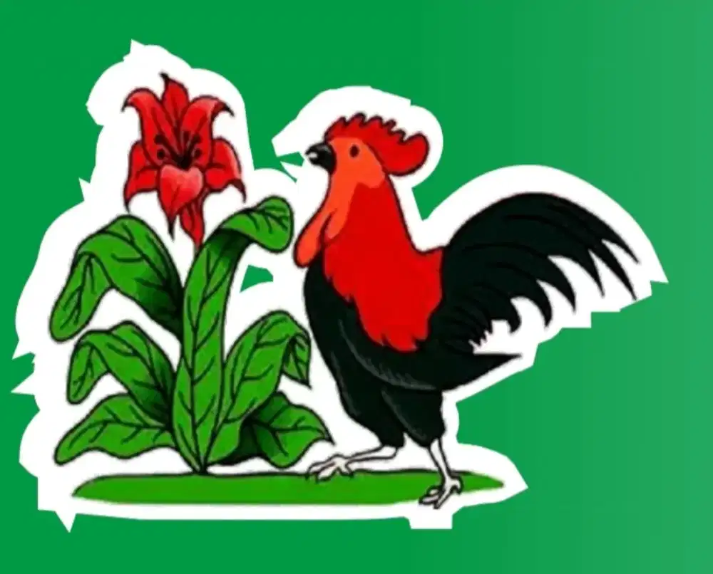 Lowongan kerja utk laki2