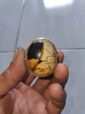 Di Maharkan koleksi pribadi