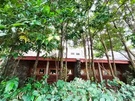 Dijual rumah  BSD, puspita loka, jalan lebar, murah di BSD