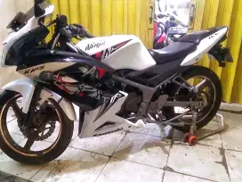 Ninja RR new good condition