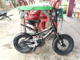 Di jual sepeda anak pacific