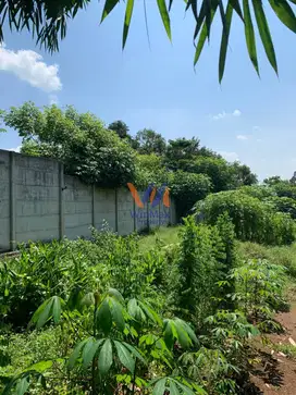 Dijual Tanah Lokasi Strategis Kec. Cikeusal Serang