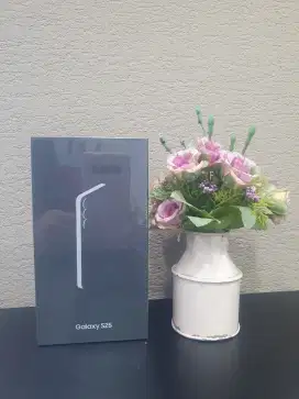 Samsung S25 garansi resmi