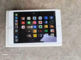 iPad Mini 5 Second 64 GB Wifi Only