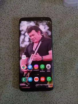 Samsung s8 sein 4/64