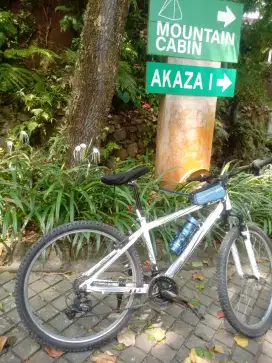 SEPEDA GOWES POLYGON MONARCH M.3