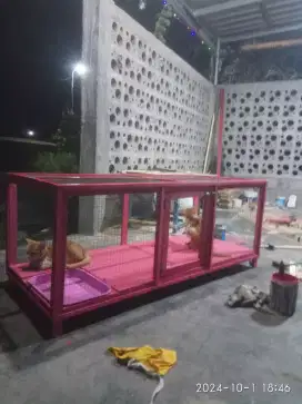 kandang kucing murah