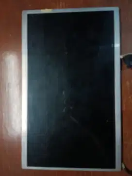 LCD Axioo Pico W217CU/CJM