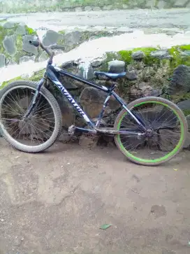 Sepeda bekas murah