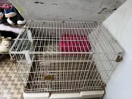 Kandang kucing kokoh