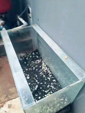 Aquarium 'MURCE'