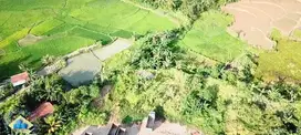 Jual Tanah Komersial di Jl Raya Sudamanik,
Parungpanjang - Bogor