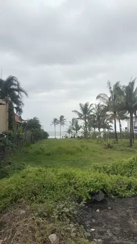 DI JUAL TANAH VIEW SAWAH DAN LAUT
