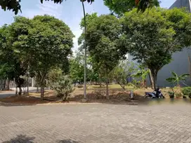 Jarang ada Kavling Pantai indah kapuk 16x29 badan cluster Exclusive