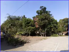 BUTUH    3JT-an/m, TANAH JOGJA, SHMP, SIAP BANGUN, DEKAT JL. PALAGAN