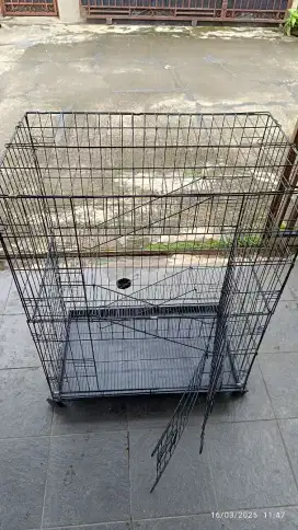 For sale kandang kucing 3 tingkat, siapa cepat dia dapat