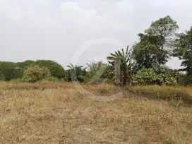 Dijual Tanah Cisauk Tangerang Hadap Timur