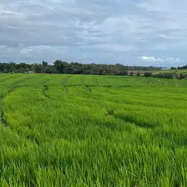 jual tanah luas kecil dekat pantai di tabanan bali.