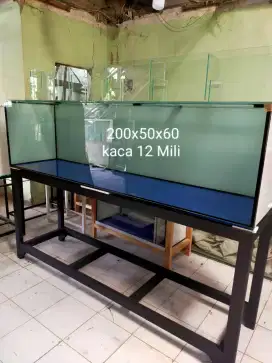 PO, aquarium baru
