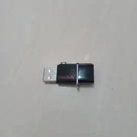 Flasdisk sandisk