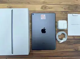 Ipad mini 5 256gb wifi only kondisi mulus