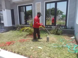 Basmi rayap suntik rayap anti rayap Fogging pest control fumigasi