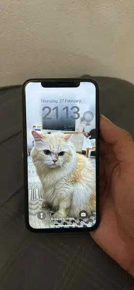 IP XS 256 INTER FULLSET