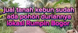 Jual tanah kebun murah Rumpin Bogor