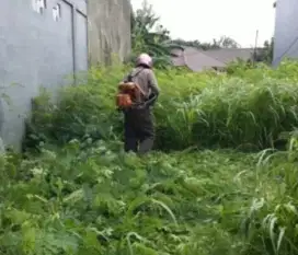 Potong rumput taman