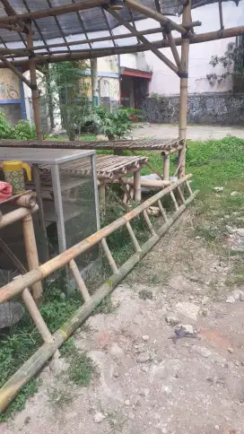 Taraje / Tangga Bambu berbagai ukuran