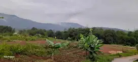 Tanah Kebun ples sawah sangat murah