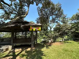 Lahan 1.6 Hektar di Cijeruk Bogor