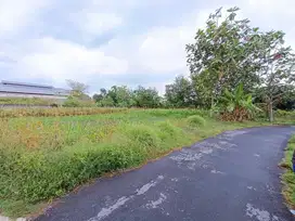 SISA 2 UNIT! Tanah Murah Sleman di Jl Palagan Tepi Jl Aspal
