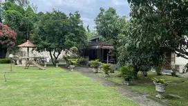 Dijual Rumah Dengan Tanah Yang Luas Di Jl Sei Siput
