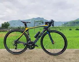 RB XLR 8 Carbon