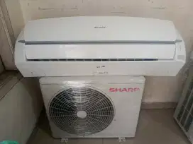 Ac sharp Thailand 1/2 pk