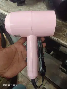 Hair dryer gm bear